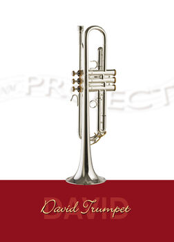 Trompette NM PROJECT «David Trumpet» (1)