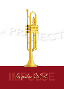 Trompette NM PROJECT «Impulse USA» (2)