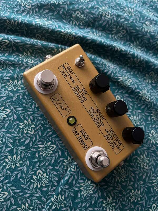 Zcat Hold-Delay-Chorus