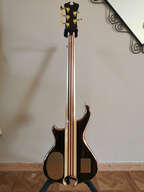 Basse Alembic 5C deluxe Marc King cocobolo
