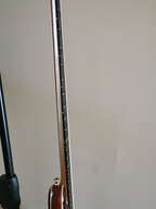 Basse Alembic 5C deluxe Marc King cocobolo