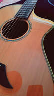 Breedlove C25-CRH Pro Series &ndash; C&egrave;dre/Palissandre massif