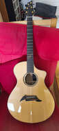 Breedlove north west classic ltd