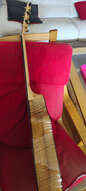 Breedlove north west classic ltd
