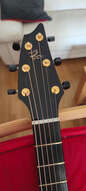 Breedlove north west classic ltd