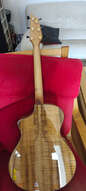 Breedlove north west classic ltd