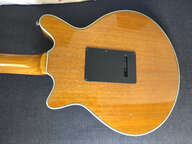 Brian May Guitars Special Limited Edition
