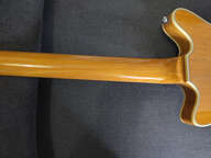Brian May Guitars Special Limited Edition