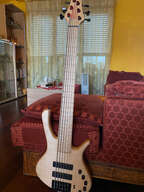 GMR Bassforce 6 Cordes