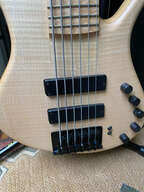 GMR Bassforce 6 Cordes