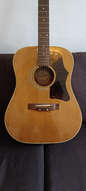 Guitare acoustique Cimar par Ibanez (70's)