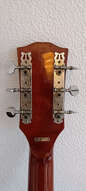 Guitare acoustique Cimar par Ibanez (70's)
