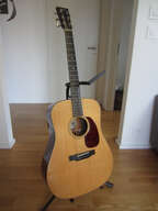 Collings D1 (2018)