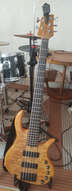 Cort Elrick JP5 (signature Josh Paul)