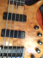 Cort Elrick JP5 (signature Josh Paul)
