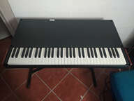 Crumar Mojo 61 + Lower + housses