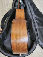 Eastman ACTG-2E