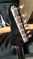 Eastman Juliet Bigsby