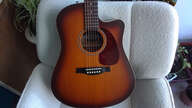 Electro seagull entourage rustic