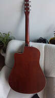 Electro seagull entourage rustic