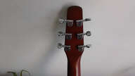 Electro seagull entourage rustic