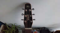 Electro seagull entourage rustic