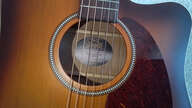 Electro seagull entourage rustic