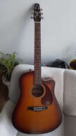 Electro seagull entourage rustic