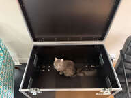 Flight Case Thon sur roulettes neuf !