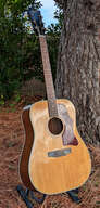 Gibson J-55 1978