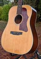 Gibson J-55 1978