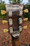 Gibson J-55 1978
