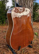 Gibson J-55 1978