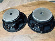 HP Electrovoice EVM-12S vintage