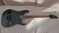 Ibanez RGT 6EX