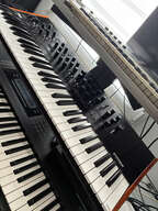 Korg Prologue 16 Osc Parfait &eacute;tat