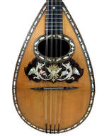 Mandoline C.A. Kisslinger D&eacute;cor&eacute;e C&ocirc;tes Creuses de 1901