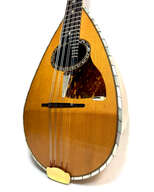 Mandoline de Concert Emanuele Egildo N&deg;848 de 1917