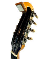 Mandoline de Concert Emanuele Egildo N&deg;848 de 1917
