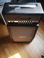Ampli marshall 2525h jubilee slash snakeskin + cab