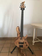 Maruszczyk Frog Omega 5 cordes