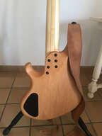 Maruszczyk Frog Omega 5 cordes
