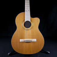 Ortega RCE179SN 25th Anniversary