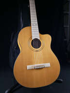 Ortega RCE179SN 25th Anniversary