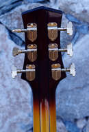 Parker archtop jazz PJ-24