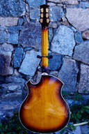 Parker archtop jazz PJ-24
