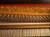 Piano droit Seiler Primus 122 noir vernis - neuf