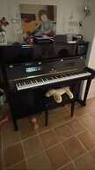 Piano droit Seiler Primus 122 noir vernis - neuf