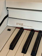Piano num&eacute;rique ROLAND RP301-R