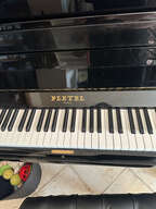 Pleyel P131 (2000)